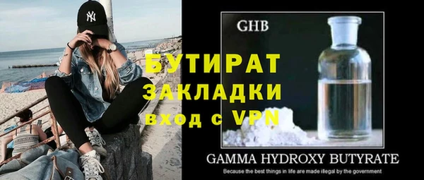 гидра Каменка
