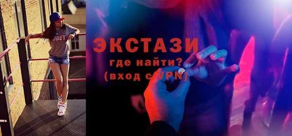 индика Каменногорск