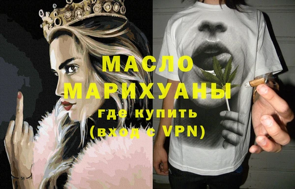 индика Каменногорск