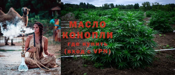 индика Каменногорск