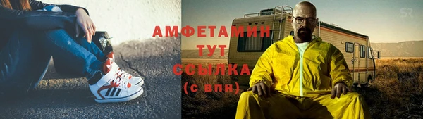 индика Каменногорск