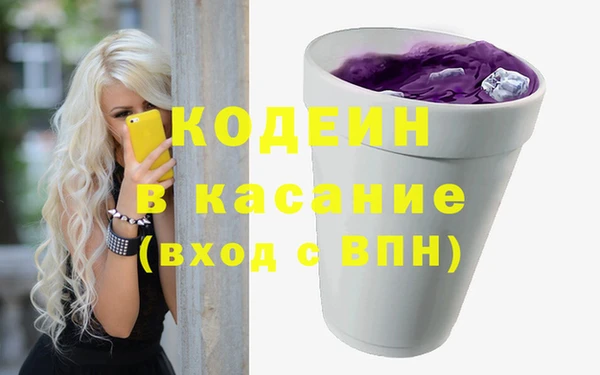 индика Каменногорск