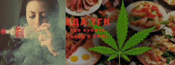 индика Каменногорск