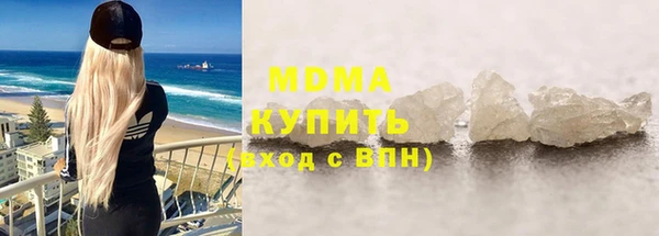 индика Каменногорск