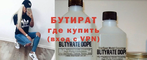 гидра Каменка