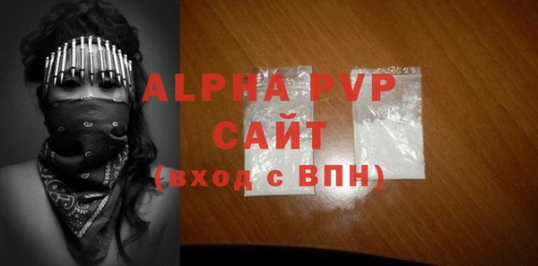 индика Каменногорск
