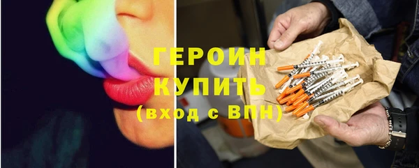 гидра Каменка