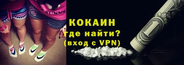 гидра Каменка