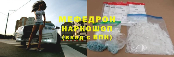 гидра Каменка