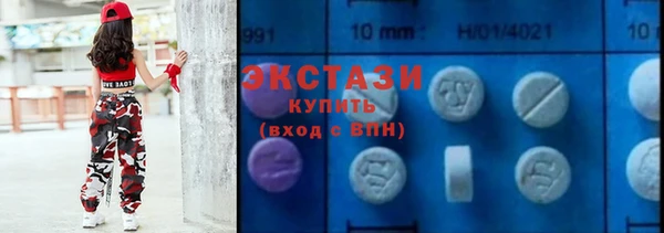 гидра Каменка