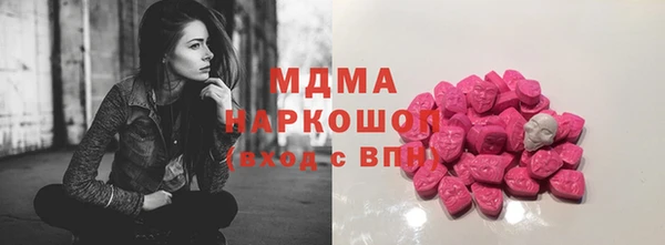индика Каменногорск