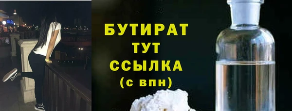 гидра Каменка