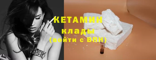 индика Каменногорск