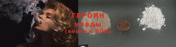 гидра Каменка