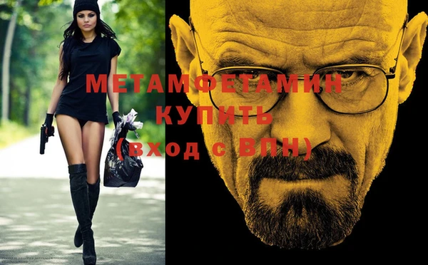 индика Каменногорск