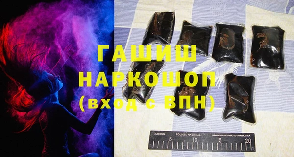 индика Каменногорск