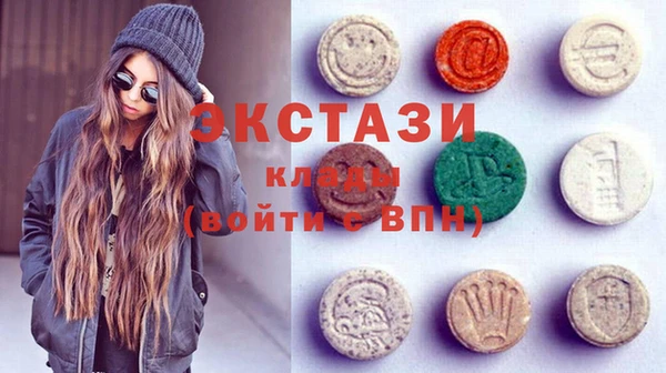 гидра Каменка
