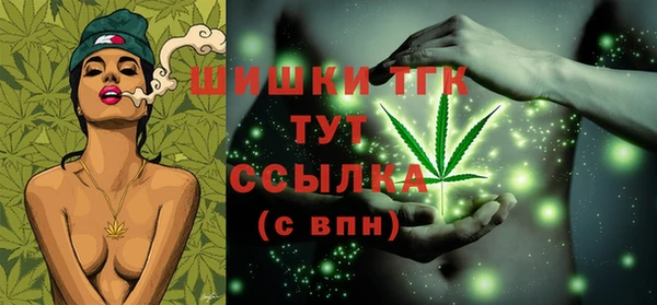 гидра Каменка