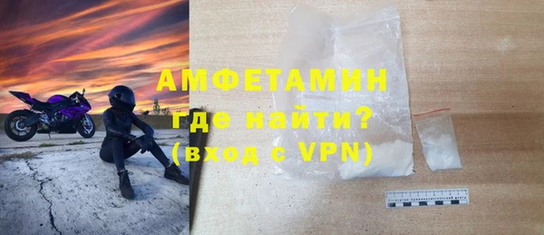 гидра Каменка