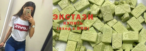 индика Каменногорск