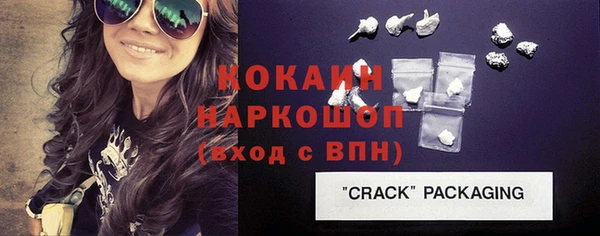 индика Каменногорск