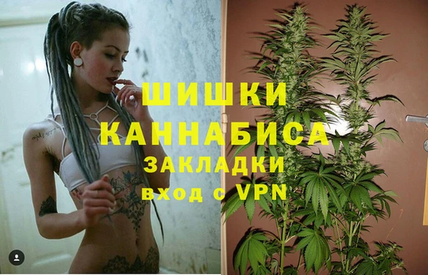 гидра Каменка