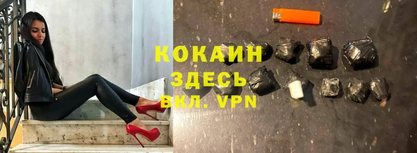 гидра Каменка