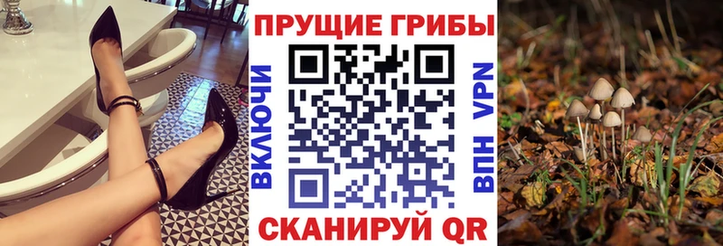 Псилоцибиновые грибы Cubensis  Купить  Надым 