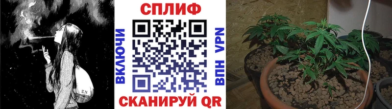 Канабис конопля Надым